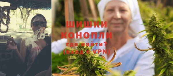 прущие грибы Беломорск