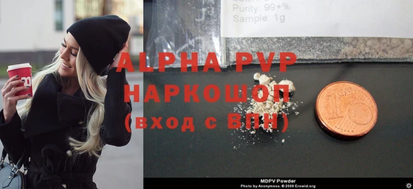 прущие грибы Беломорск