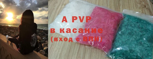 прущие грибы Беломорск