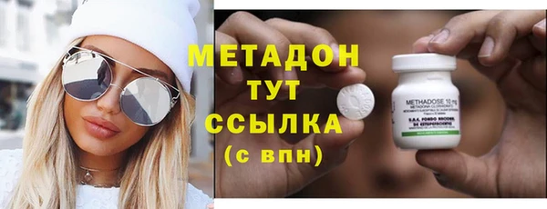 прущие грибы Беломорск