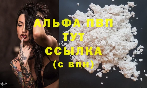 прущие грибы Беломорск