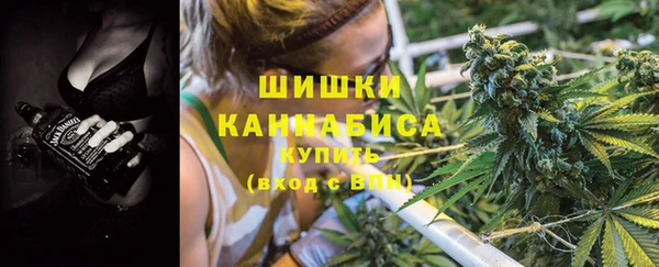 гашик Белокуриха