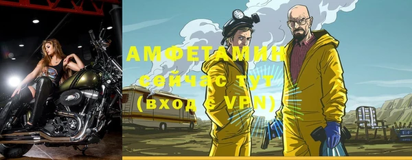 гашик Белокуриха