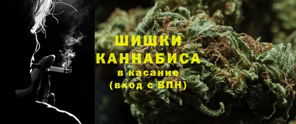 прущие грибы Беломорск