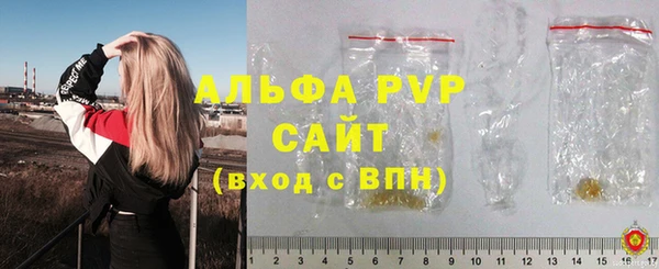 прущие грибы Беломорск