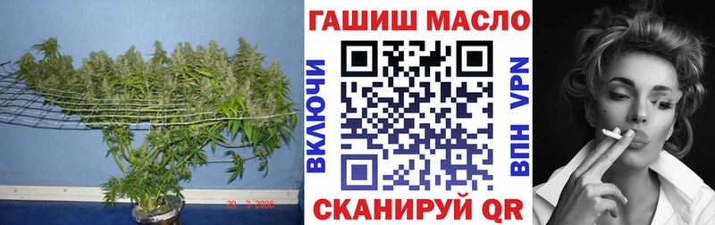 ТГК гашишное масло Купино
